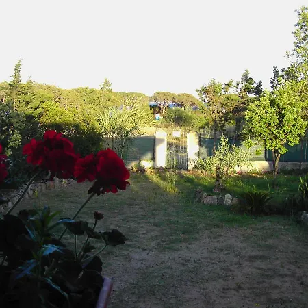 La Cuppulata Apartment Budoni Exterior photo