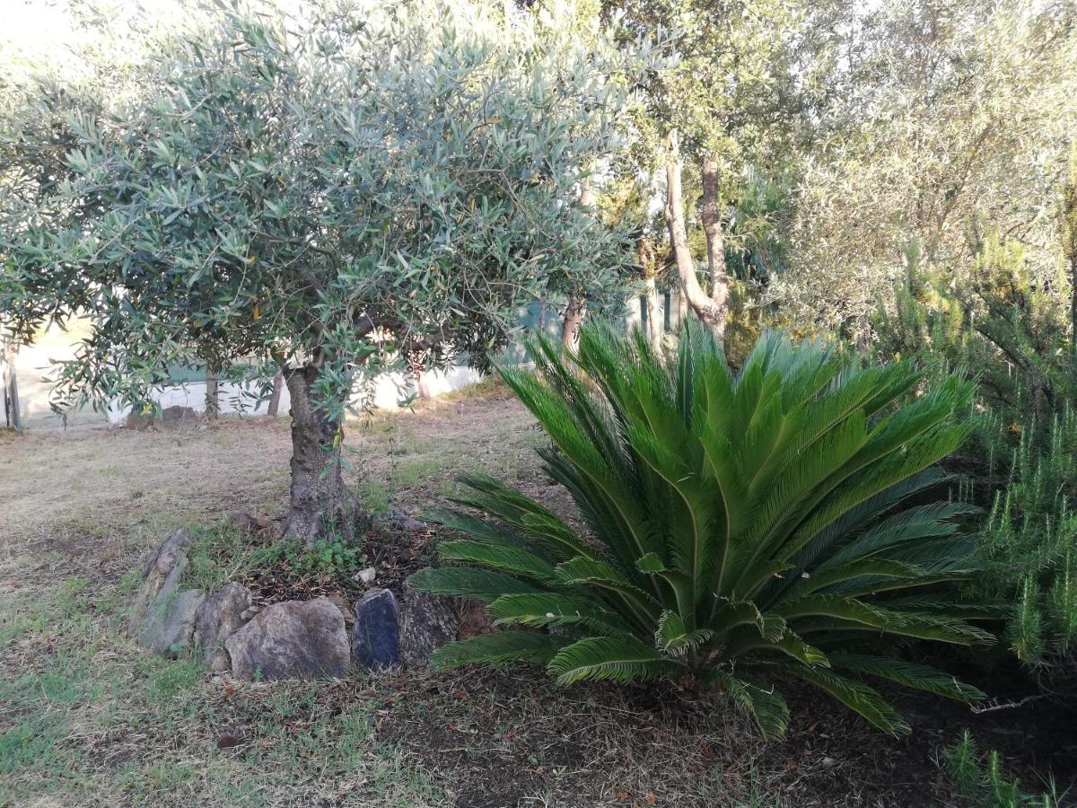 Apartment La Cuppulata