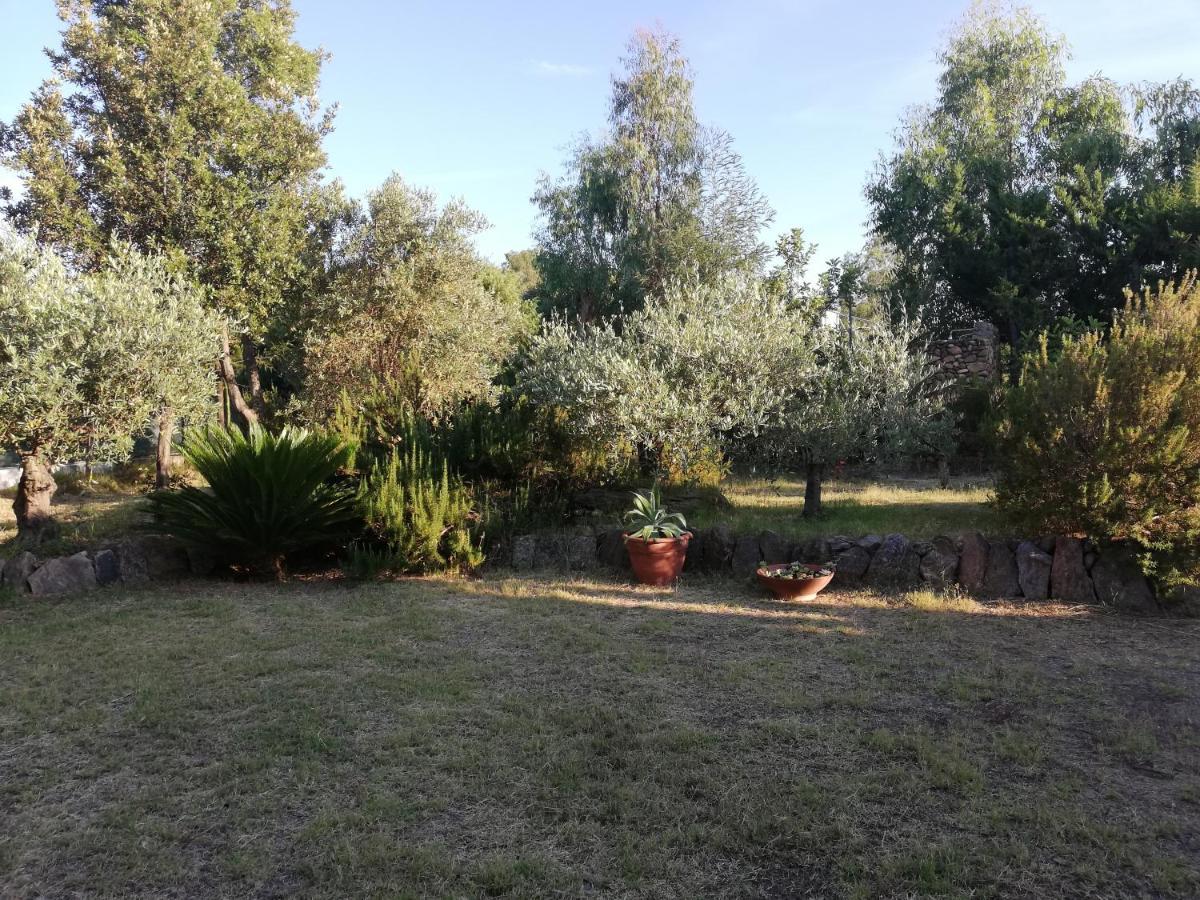 Apartment La Cuppulata Budoni