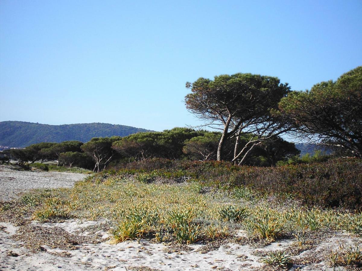 La Cuppulata Budoni