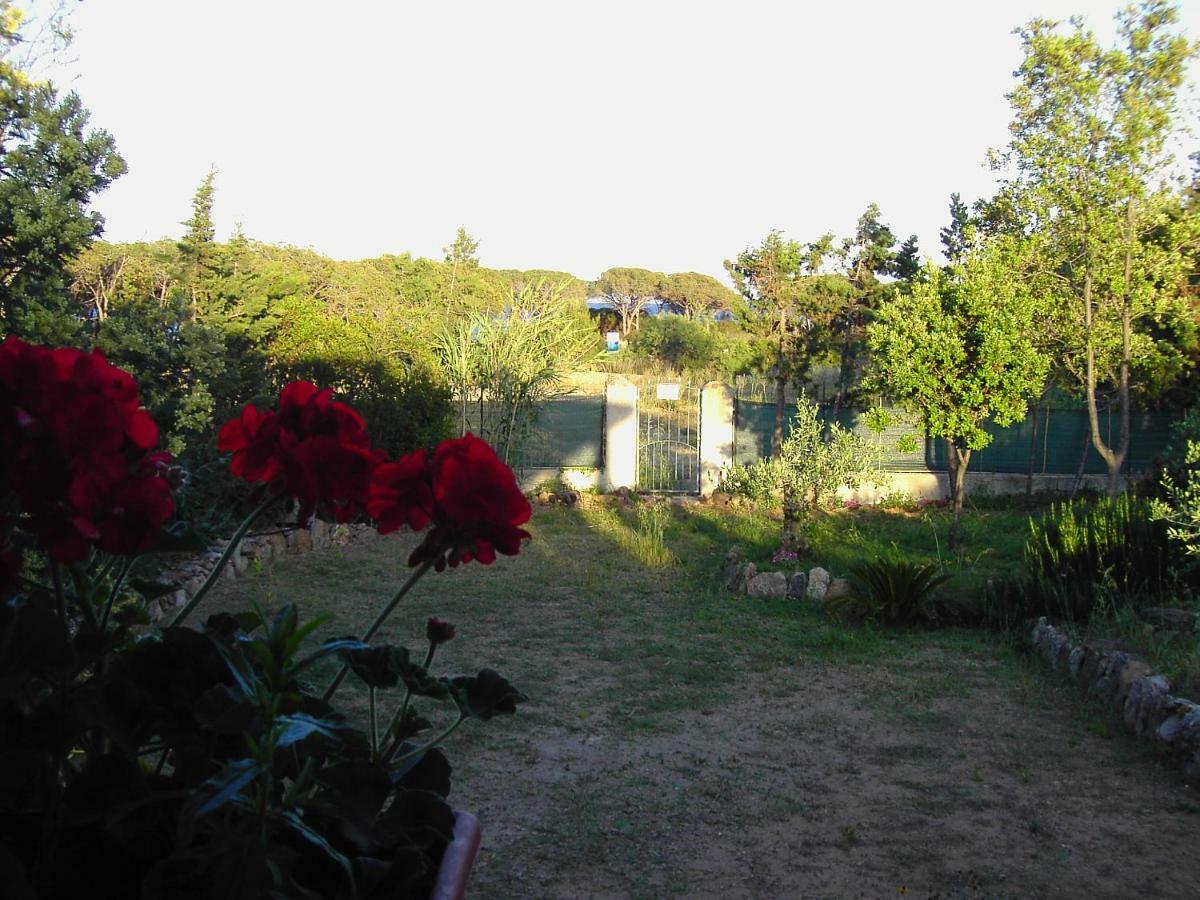 La Cuppulata Apartment Budoni