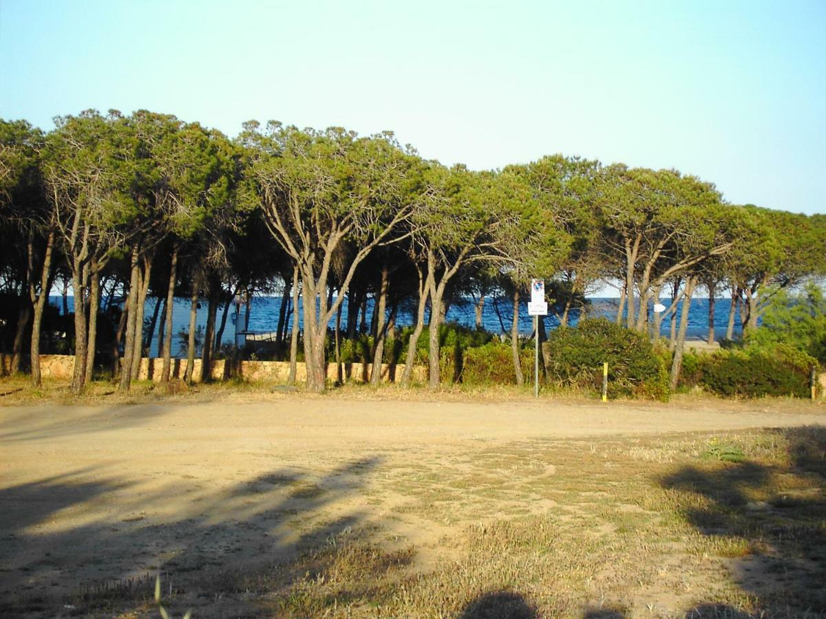 Apartment La Cuppulata Budoni